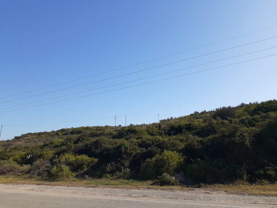 0 Bedroom Property for Sale in Wells Estate Eastern Cape